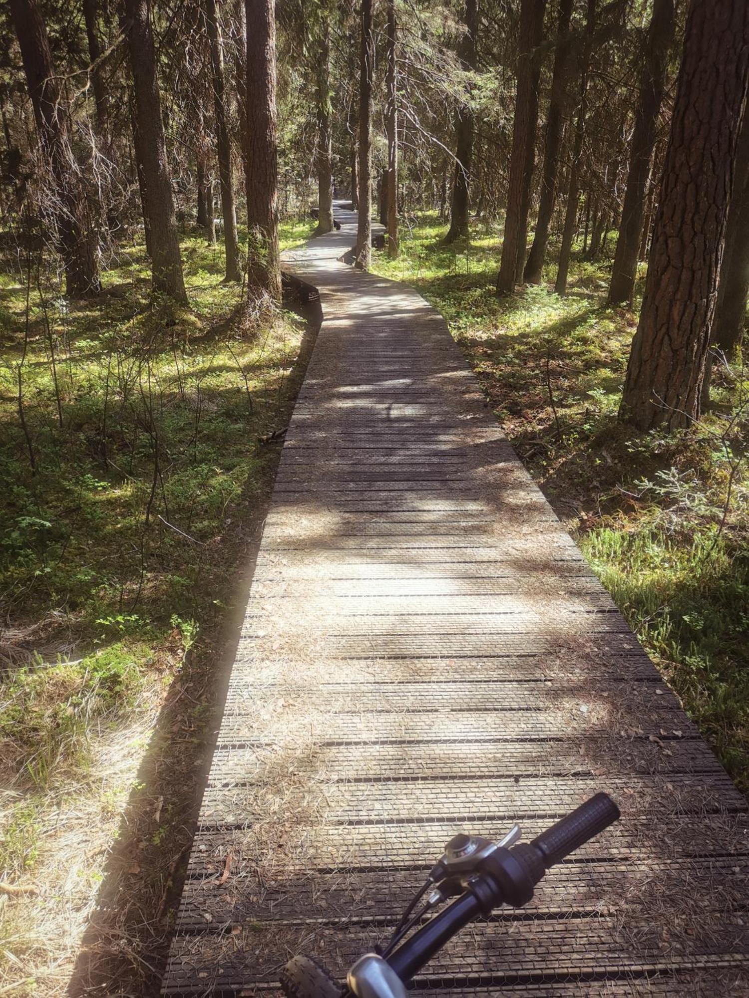 Drewutnia Nad Hancza Sarnetki Zewnętrze zdjęcie
